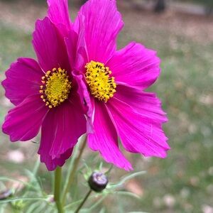 MYSTERY BOX -5 items of clothing from my closet, size S or size 4.